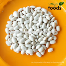 Products you can import cook canned white beans